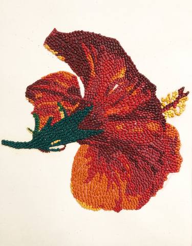 Hibiscus thumb