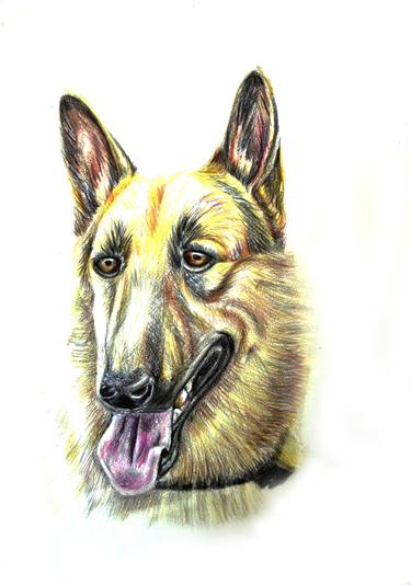 Original Realism Dogs Paintings by Mokhinur Fakhri