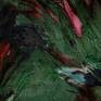 details of Night Song