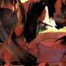 abstract landscape detail