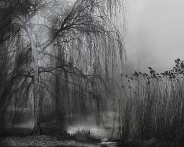 Print of Figurative Nature Photography by Edel Verzijl