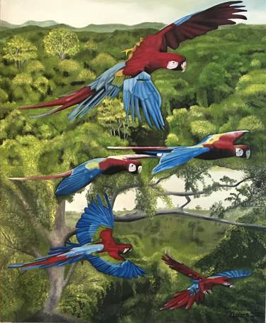Original Realism Nature Paintings by Oscar Isaza