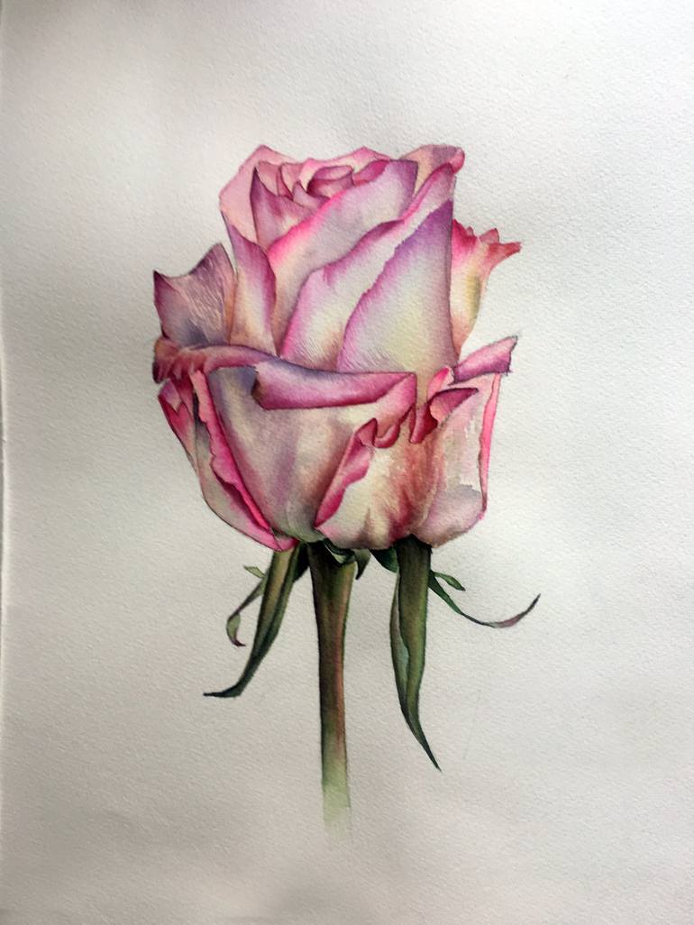 Pink rose Painting by Olena Rublova | Saatchi Art