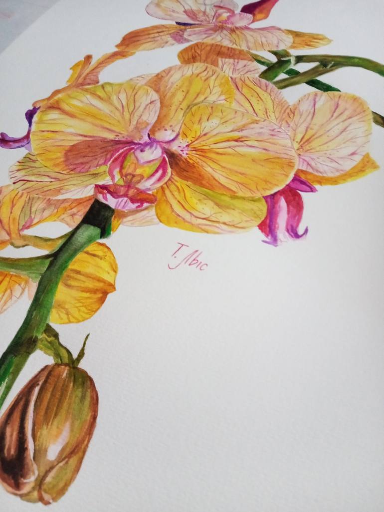 Original Realism Botanic Painting by Tatyana Lysenko