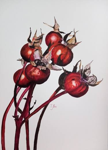 Original Realism Botanic Paintings by Tatyana Lysenko