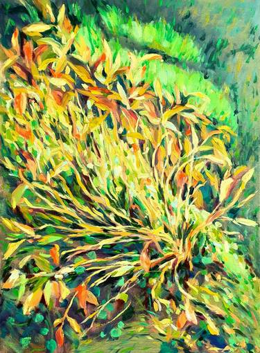 Original Contemporary Nature Paintings by Nadia Petra