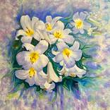 The Secret of the Lily by Lia Kelekhsaeva