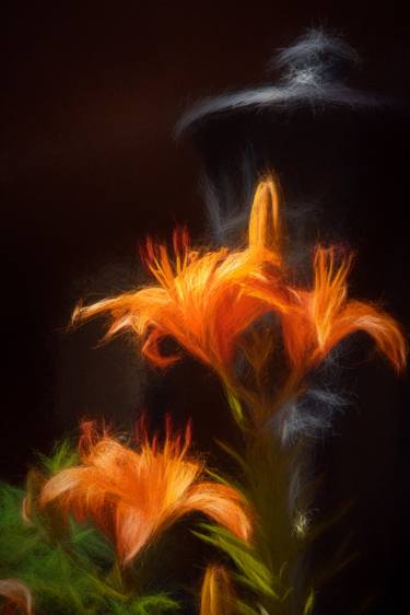 Print of Fine Art Floral Photography by Bernard Werner