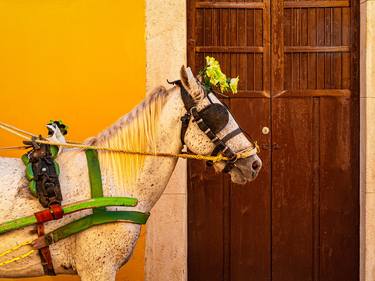 Horse at the Door thumb