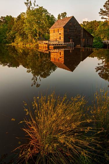 Yates Mill Sunset II thumb