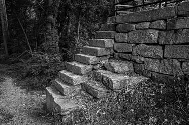 Steps in the Forest thumb