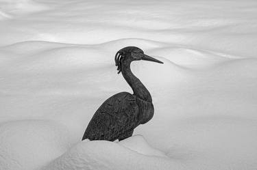 Print of Landscape Photography by Bernard Werner