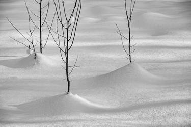 Print of Landscape Photography by Bernard Werner