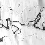 Meandering Dreams by Bernard Werner