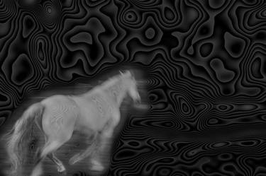 Original Abstract Horse Photography by Bernard Werner