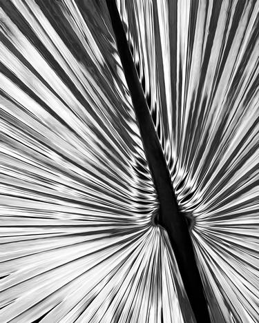 Original Abstract Photography by Bernard Werner