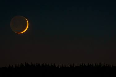 Cheshire Moon thumb