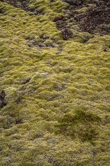 Print of Landscape Photography by Bernard Werner