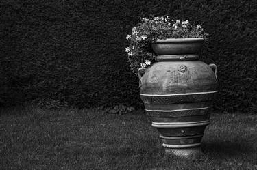 Original Fine Art Garden Photography by Bernard Werner