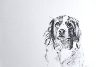 Original Animal Drawing by Janine Spoelman