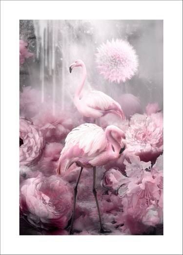 Pink Paradise - Limited Edition of 14/1AP thumb