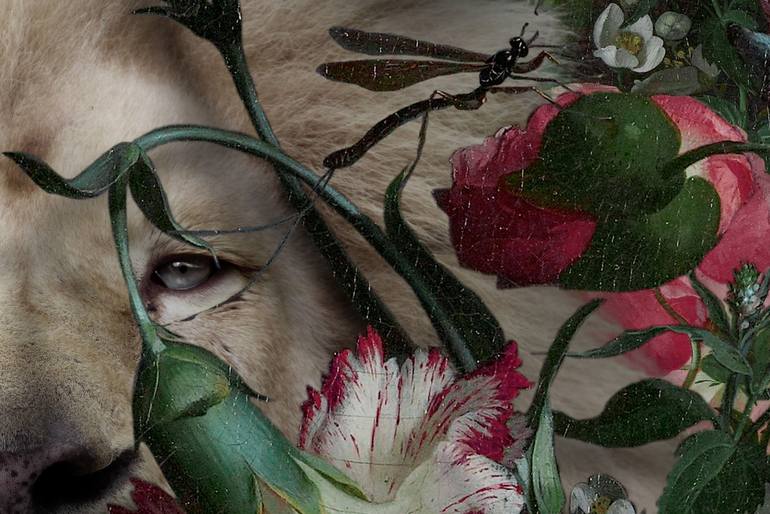 Original Conceptual Animal Photography by Lorleon Tm