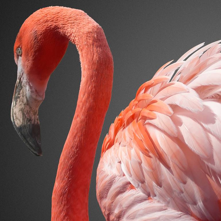 Original Conceptual Nature Photography by Lorleon Tm
