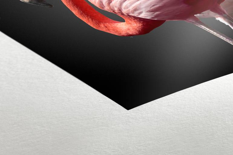 Original Conceptual Nature Photography by Lorleon Tm