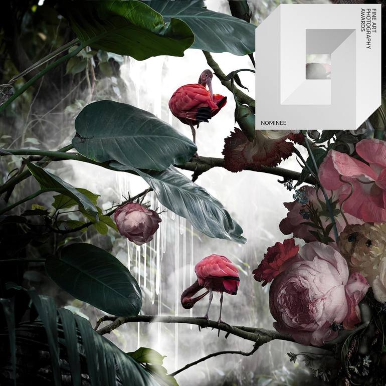 Original Fine Art Nature Photography by Lorleon Tm