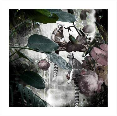 Original Botanic Photography by LORLEON TM