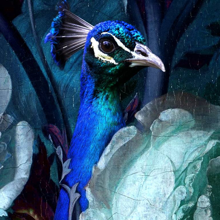 Original Fine Art Nature Photography by Lorleon Tm