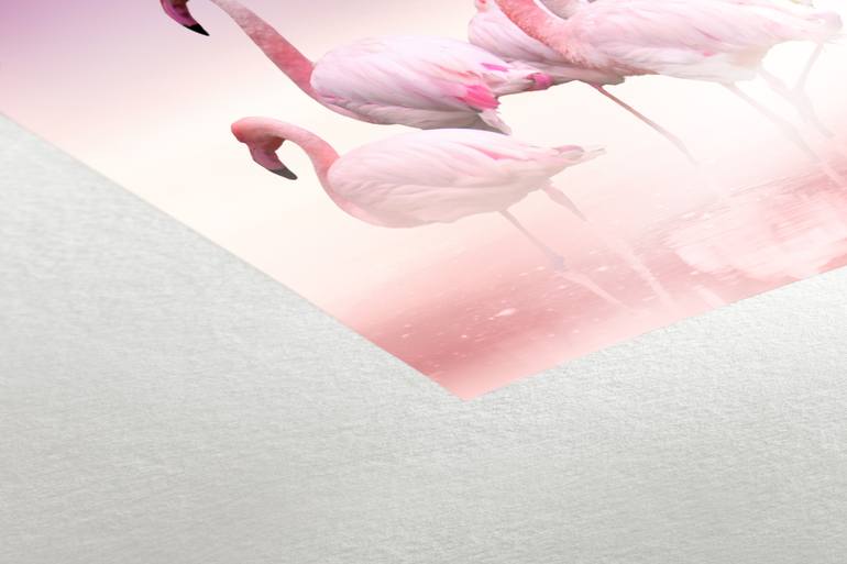 Original Other Animal Photography by Lorleon Tm