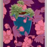 Trio Succulents by Delvin Lugo