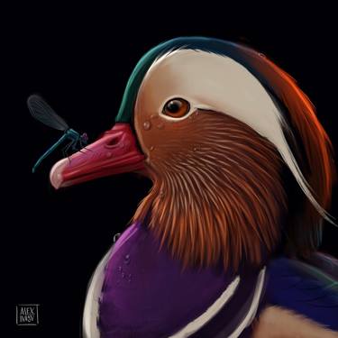 Mandarin duck and dragonfly thumb