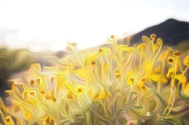 Yellow Flowers landscape, painting oil, nature, sunrise, sunset thumb