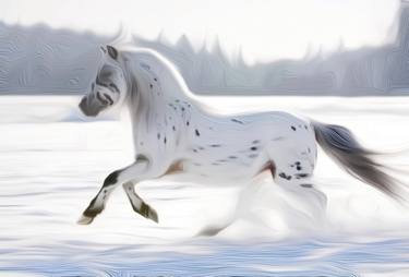 White Horse  animal, painting oil, nature, snow, running thumb