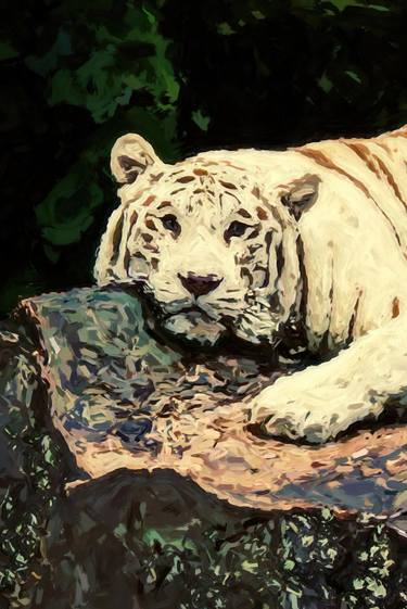 White Tiger, animal, culture, painting oil, nature, unique thumb