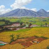 Ricefield & the mountain #009 by Tyas Febrian Rachman