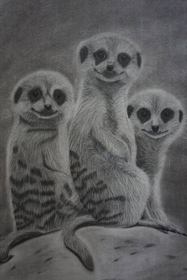 Print of Realism Animal Drawings by Mars Chang