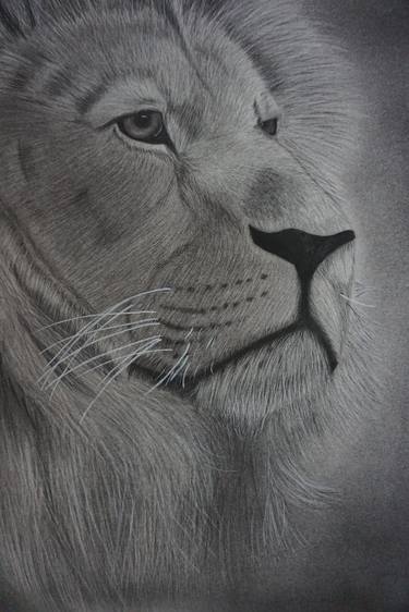 Print of Realism Animal Drawings by Mars Chang