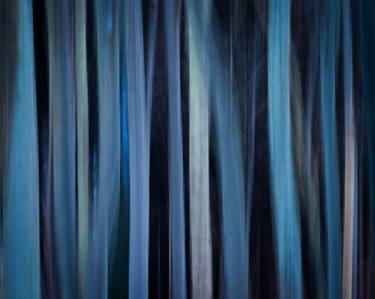 Print of Abstract Tree Photography by Peter Michael O'Reilly