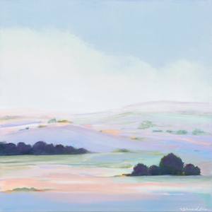 Soft Horizons