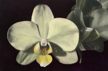 Original Realism Botanic Paintings by Nicholas Tesluk