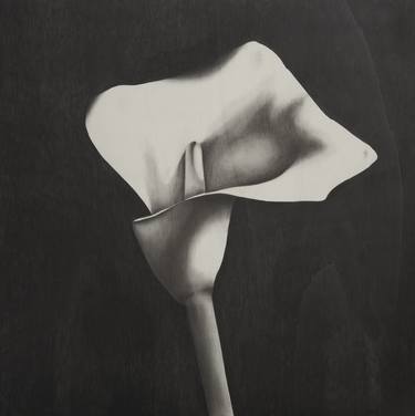 Original Figurative Floral Drawings by Marzia Roversi
