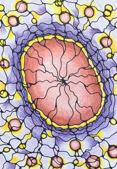 Cell cycle! 4 - Separation ... thumb