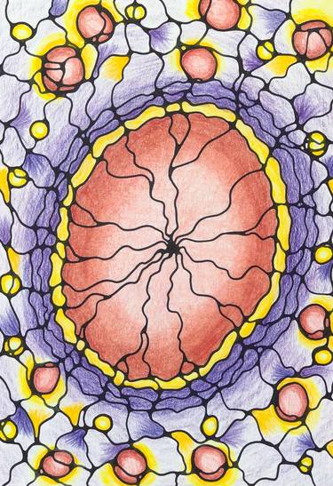 Cell cycle! 5 - Separation ... thumb