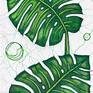 Collection Monstera Leaves