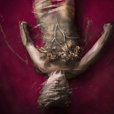 Original Mortality Photography by Michaela Haider