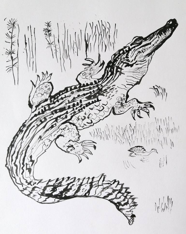 Crocodile ink on paper Drawing by Daria Motovilova Saatchi Art
