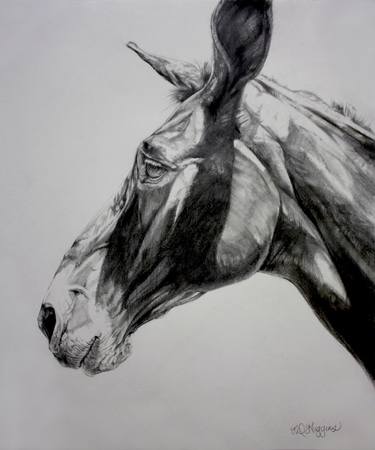 Original Fine Art Animal Drawings by Derrick Higgins